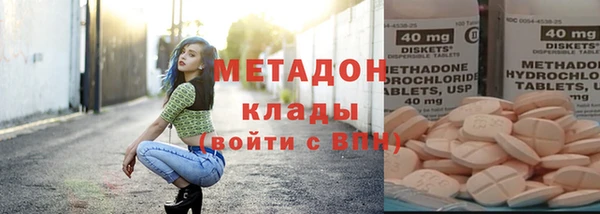 прущие грибы Новодвинск