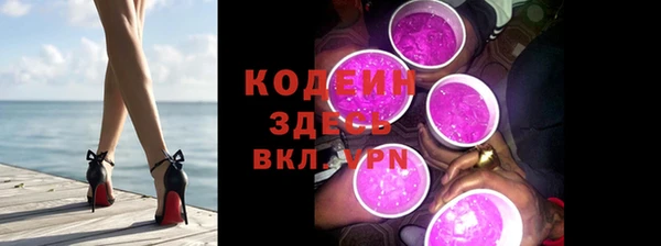 прущие грибы Новодвинск