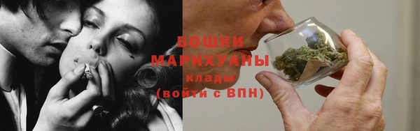 индика Гатчина