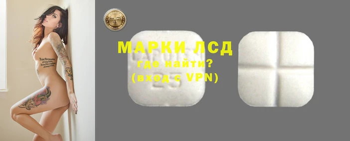 прущие грибы Новодвинск