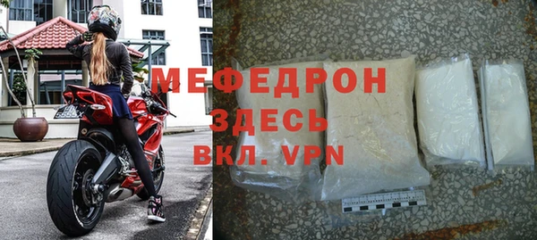 индика Гатчина