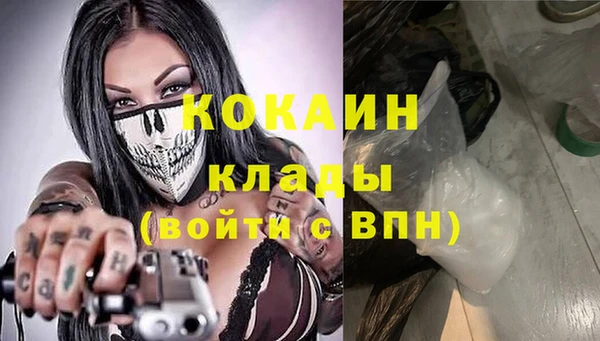 прущие грибы Новодвинск