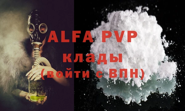 прущие грибы Новодвинск