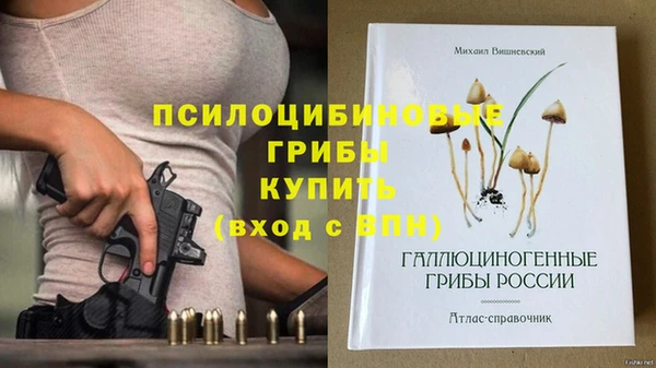 прущие грибы Новодвинск