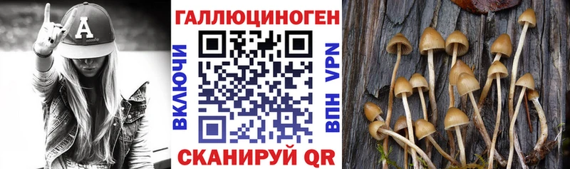 Галлюциногенные грибы мухоморы  Закаменск 